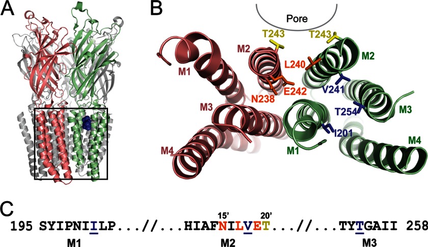 FIGURE 1.