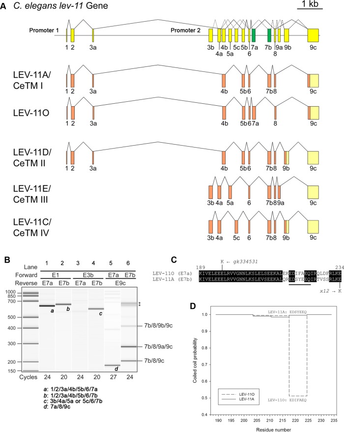 FIGURE 1: