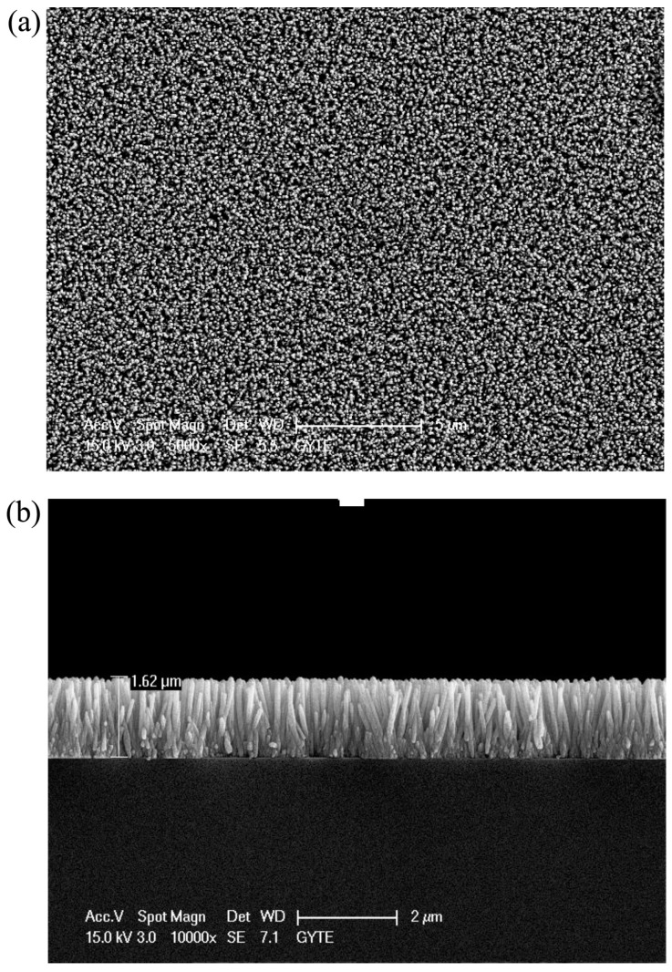 Figure 29