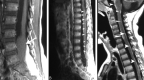 Fig 3.