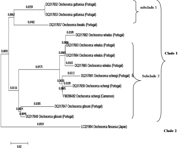 Fig. 2