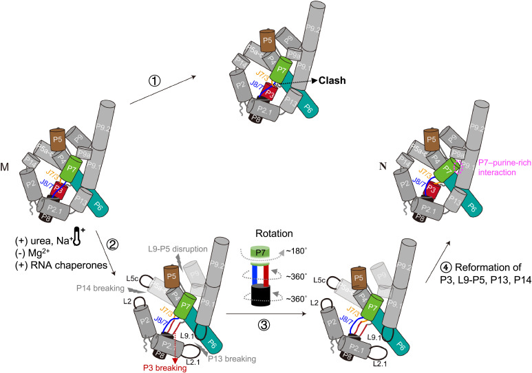 Fig. 4.