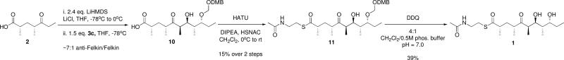 Scheme 4