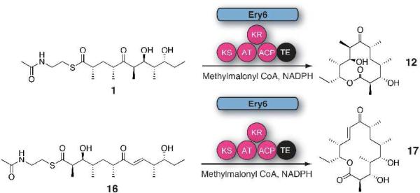 Scheme 6