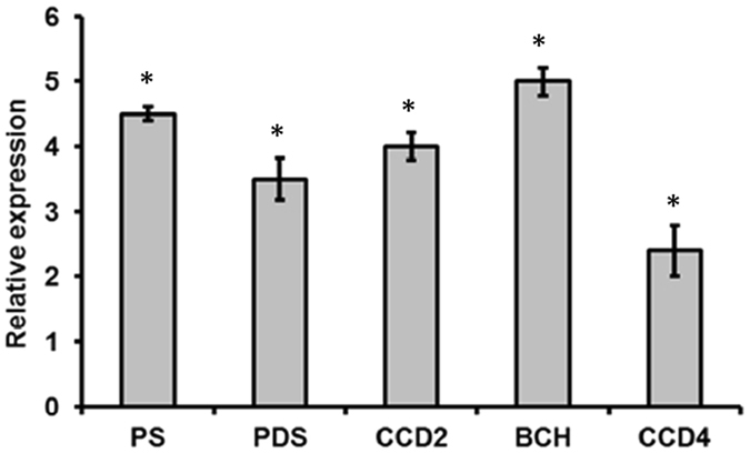 Figure 4