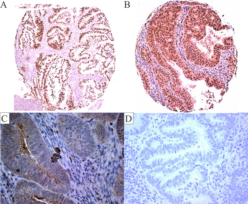 Figure 2: