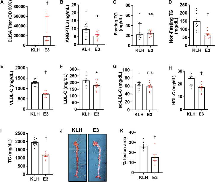 Figure 5