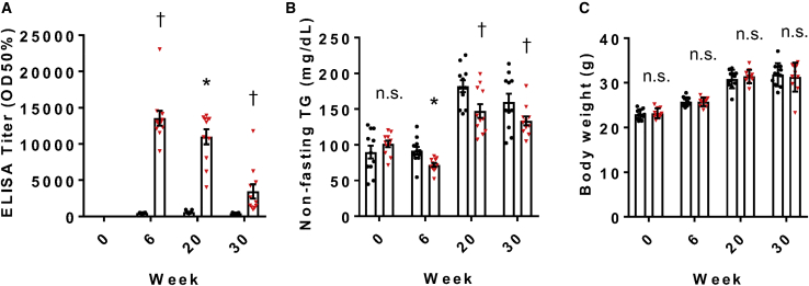 Figure 6