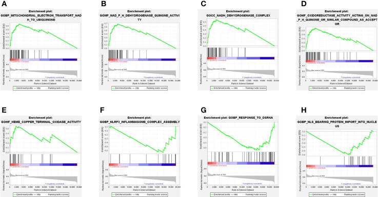 Figure 5