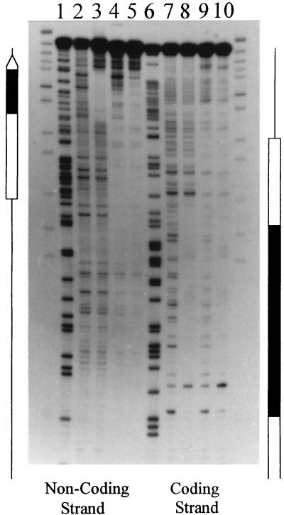 FIG. 5