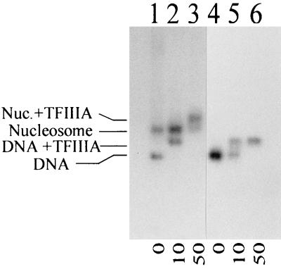 FIG. 6