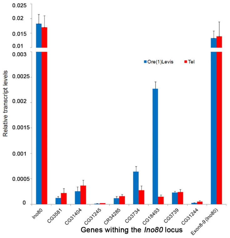 Figure 6