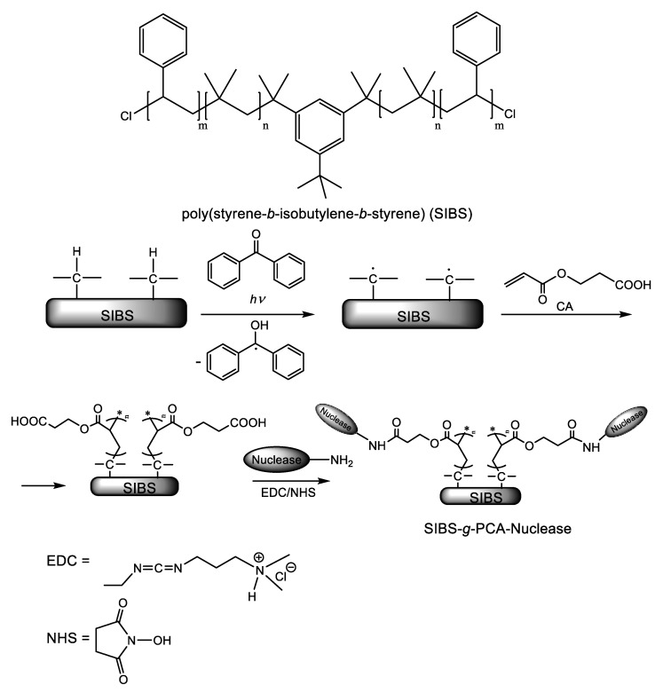 Scheme 8