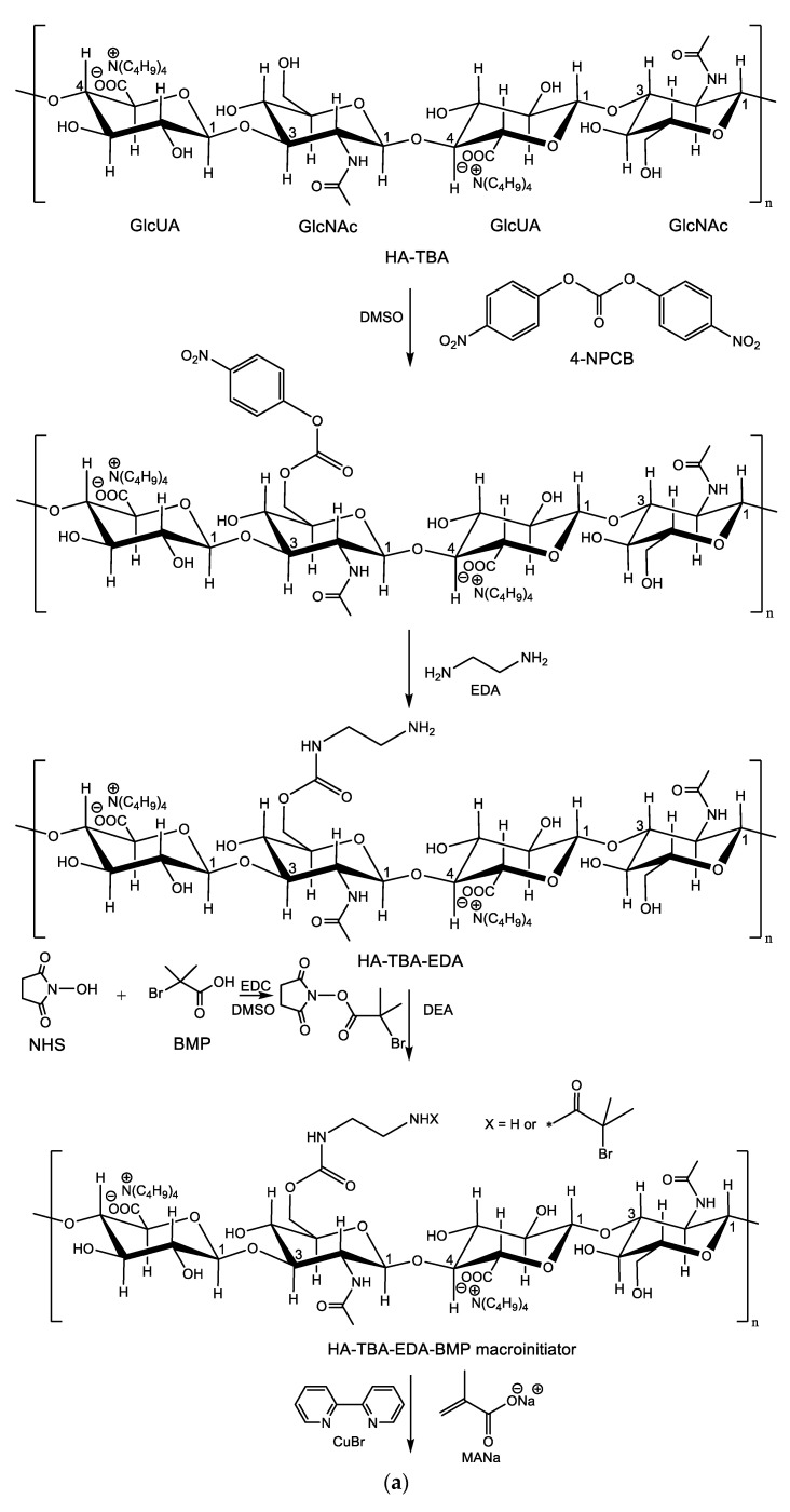 Scheme 15