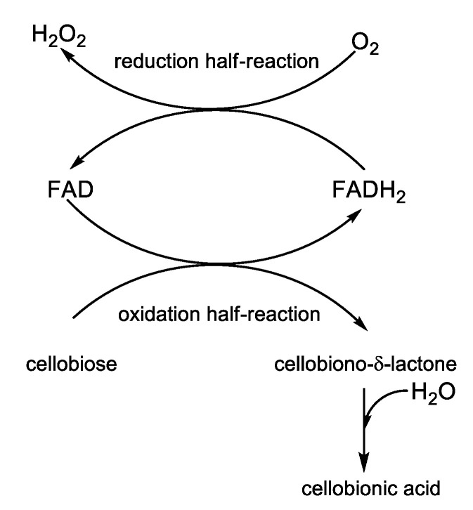 Scheme 7