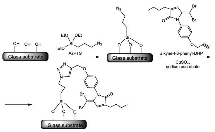 Scheme 10