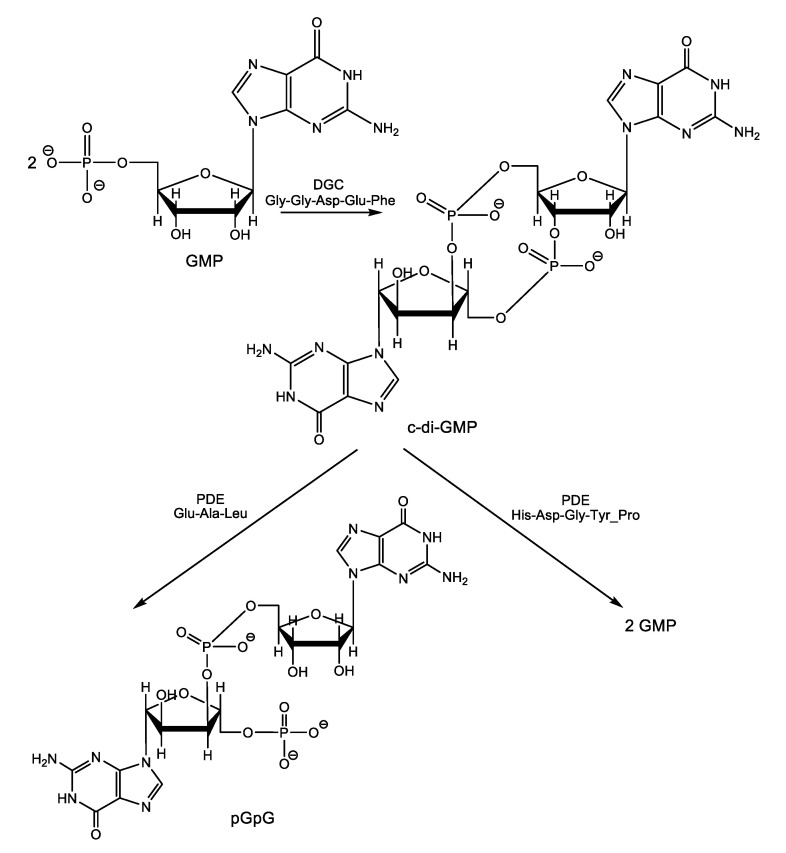 Scheme 11