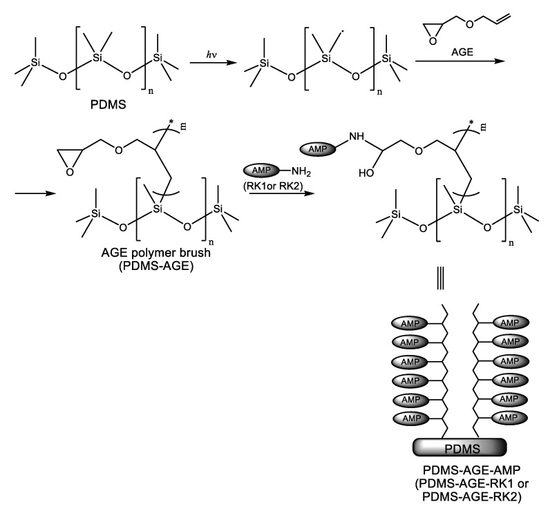 Scheme 4