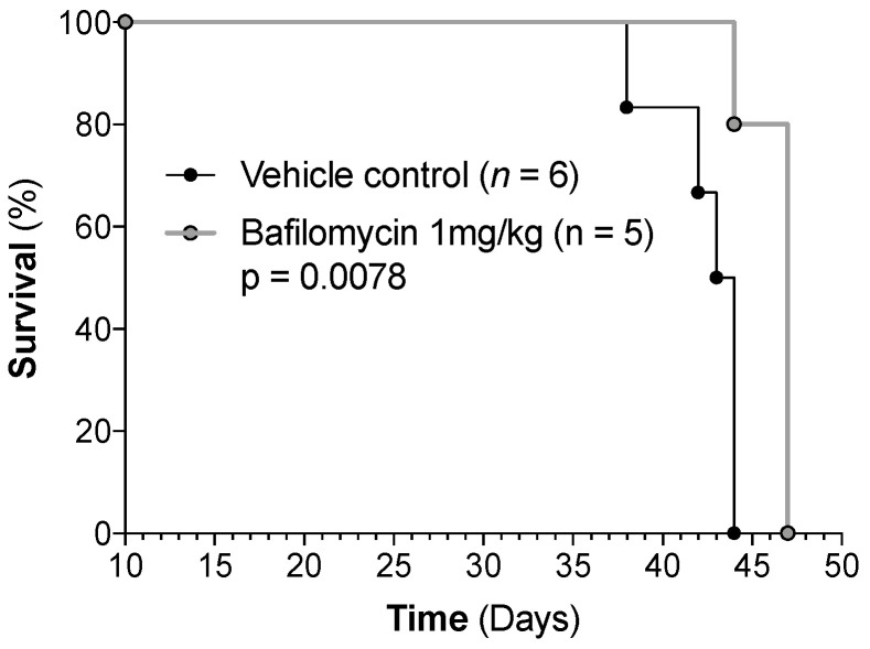 Figure 13