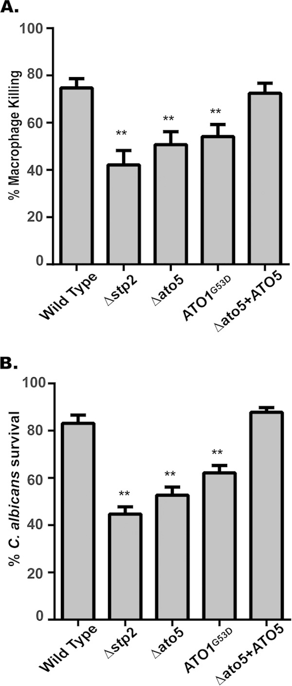 FIG 3