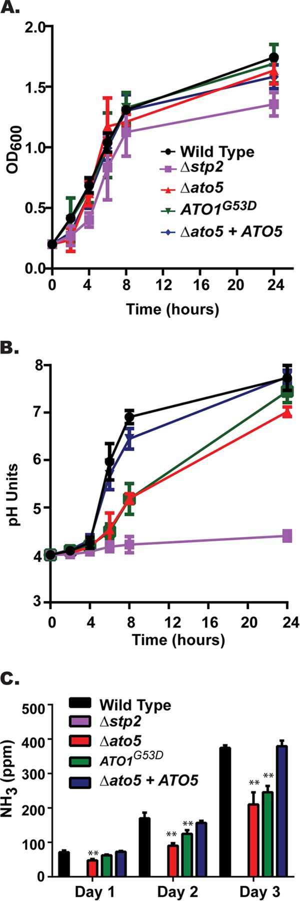 FIG 1