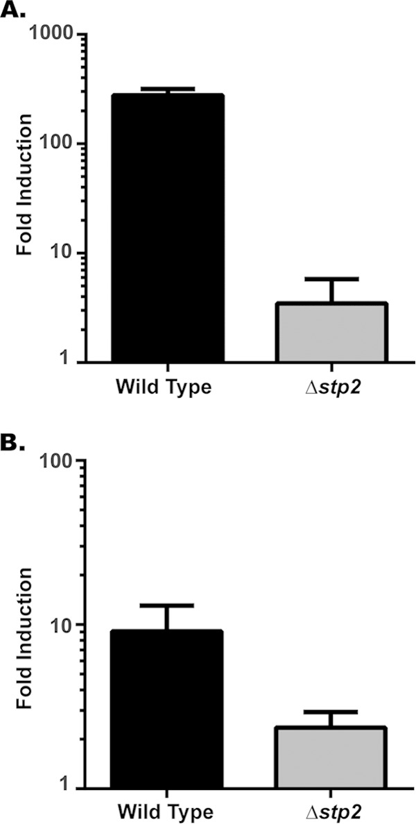 FIG 5