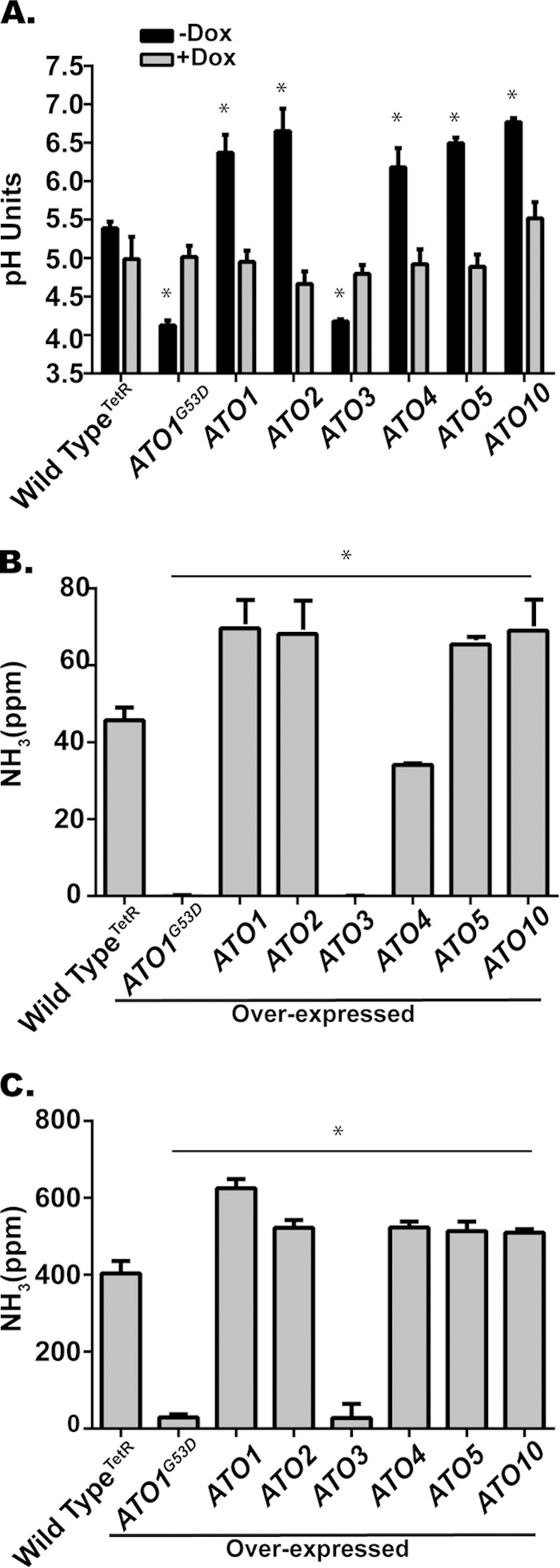 FIG 6