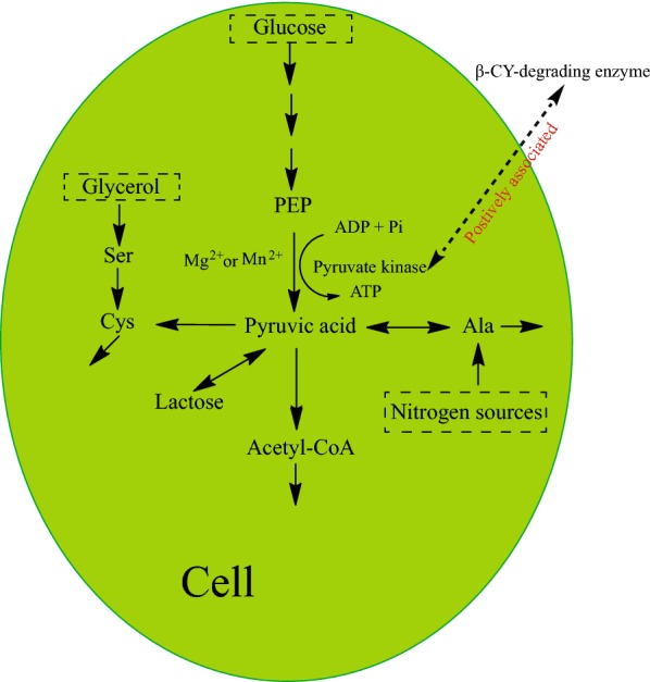 Fig. 4