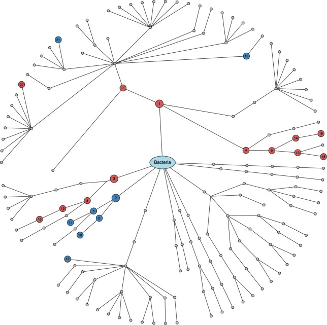 Fig 5
