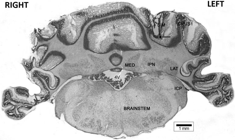 Figure 5.