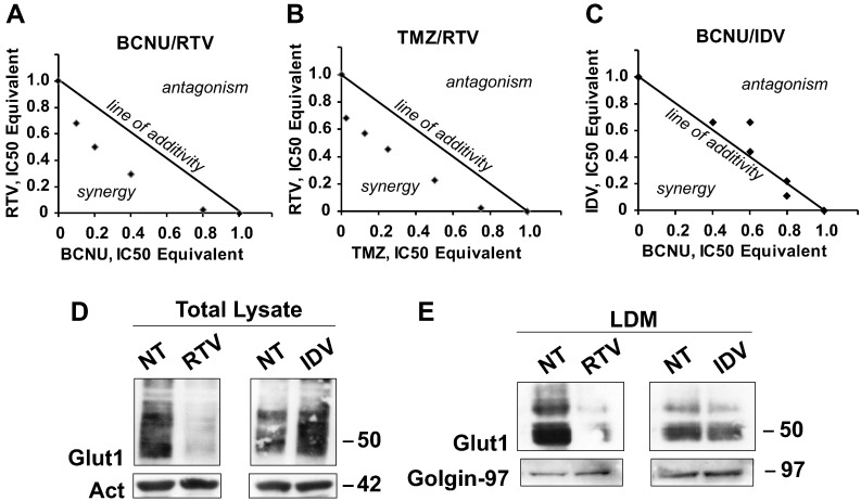 Inhibitors of GLUT/SLC2A Enhance the Action of BCNU and Temozolomide ...