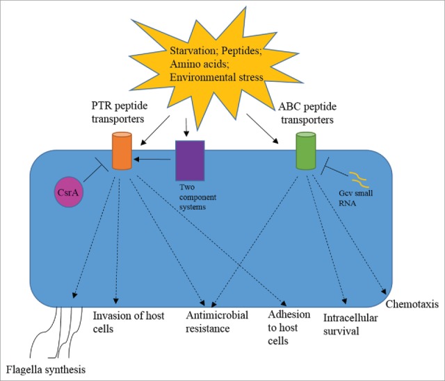 Figure 3.