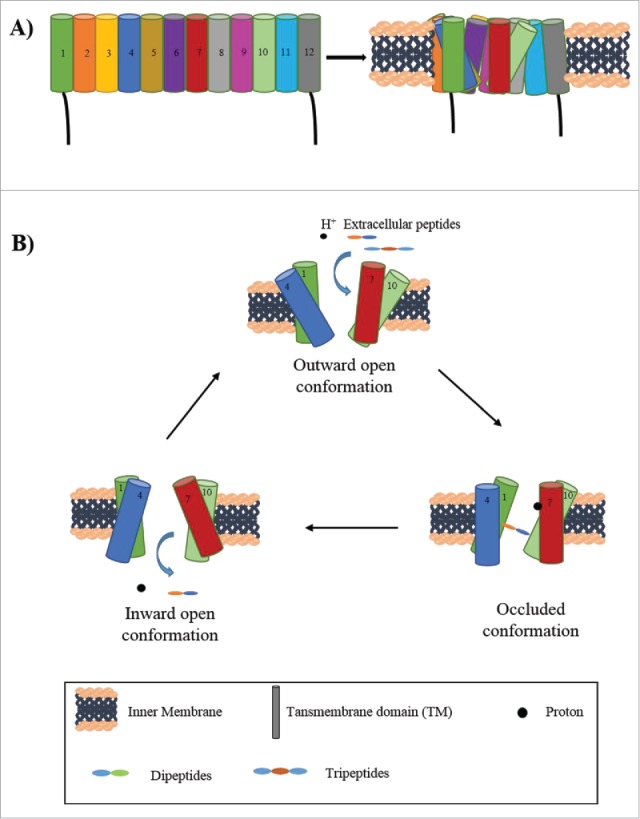 Figure 1.