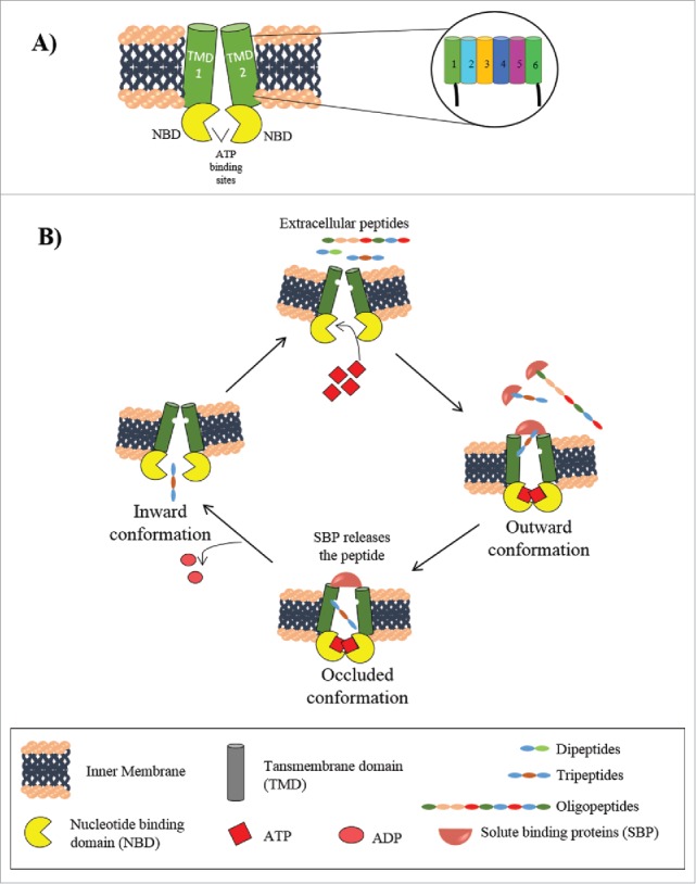 Figure 2.