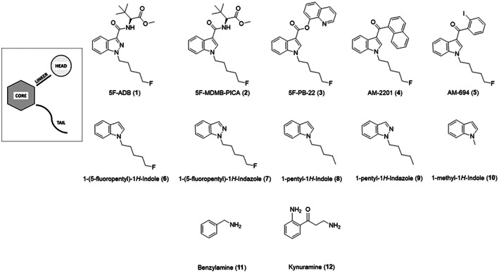 Fig. 1