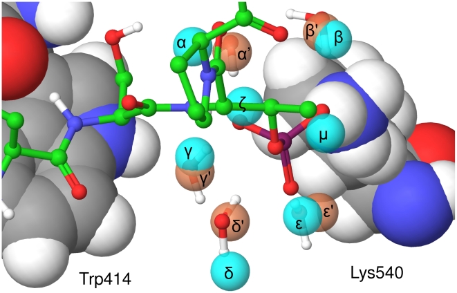 Figure 7