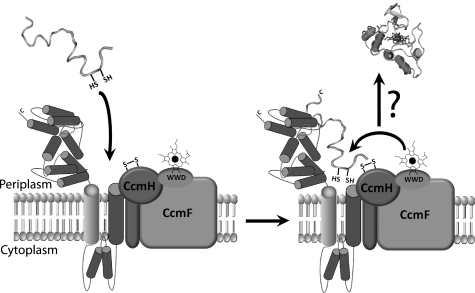 FIGURE 9.