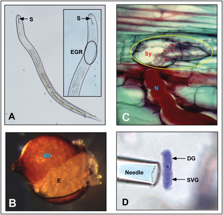 Fig 1