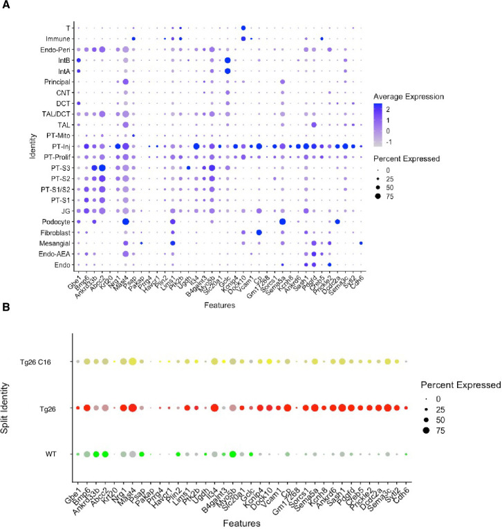 Figure 4—figure supplement 3.