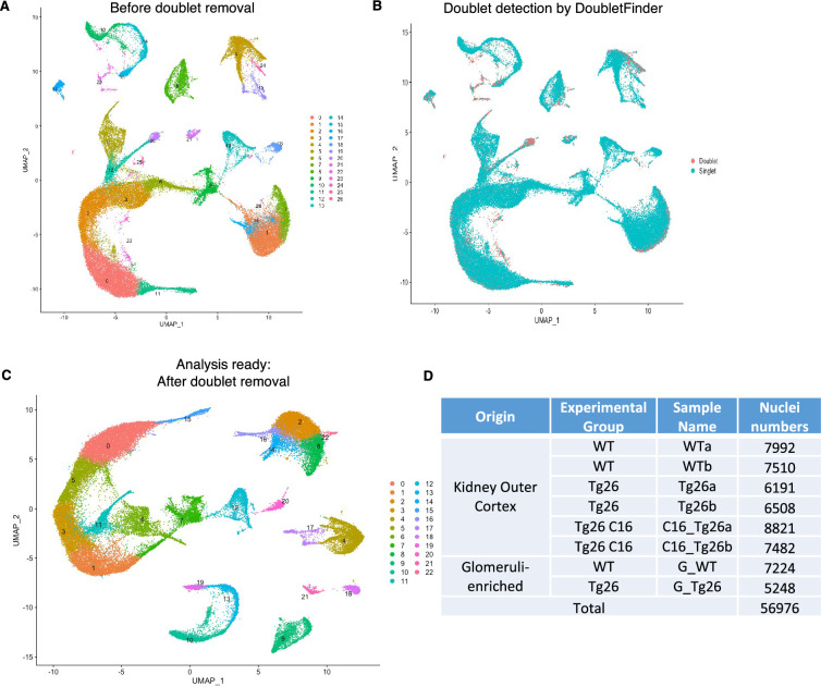 Figure 2—figure supplement 1.