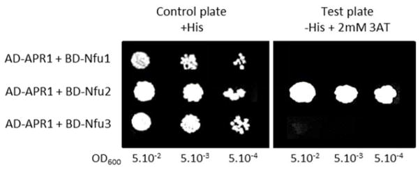 Figure 9