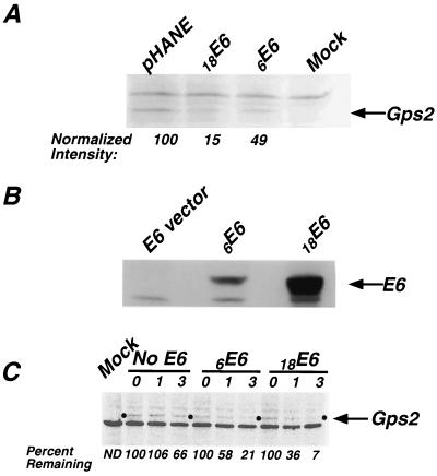 FIG. 6