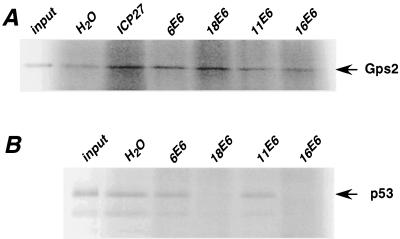 FIG. 7