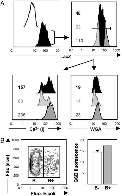 Fig. 3.