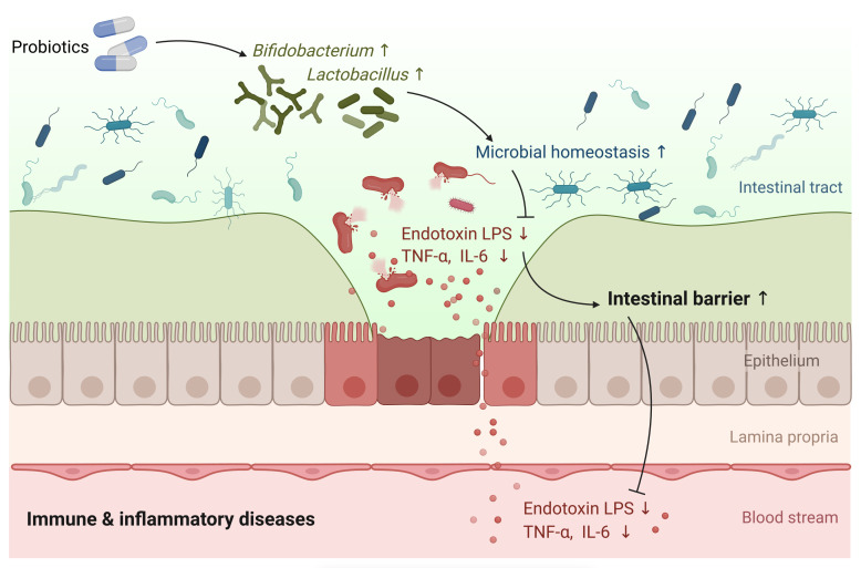 Figure 6