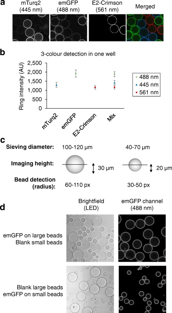 Fig. 4