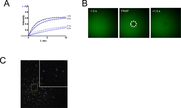 Figure 6—figure supplement 1.