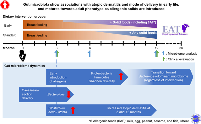 graphic file with name nihms-1805339-f0001.jpg