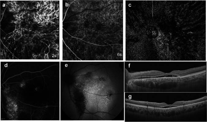 Fig. 7