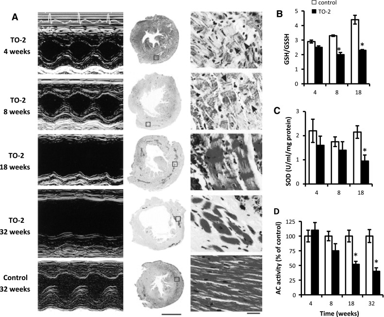 Fig. 1